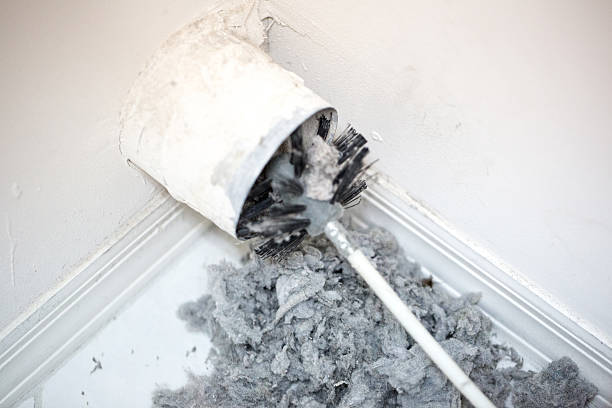 Best Dryer Vent Cleaning in Bostonia, CA